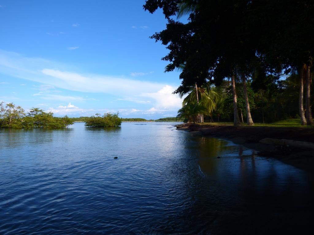 Corcovado Beach Lodge Puerto Jiménez 外观 照片
