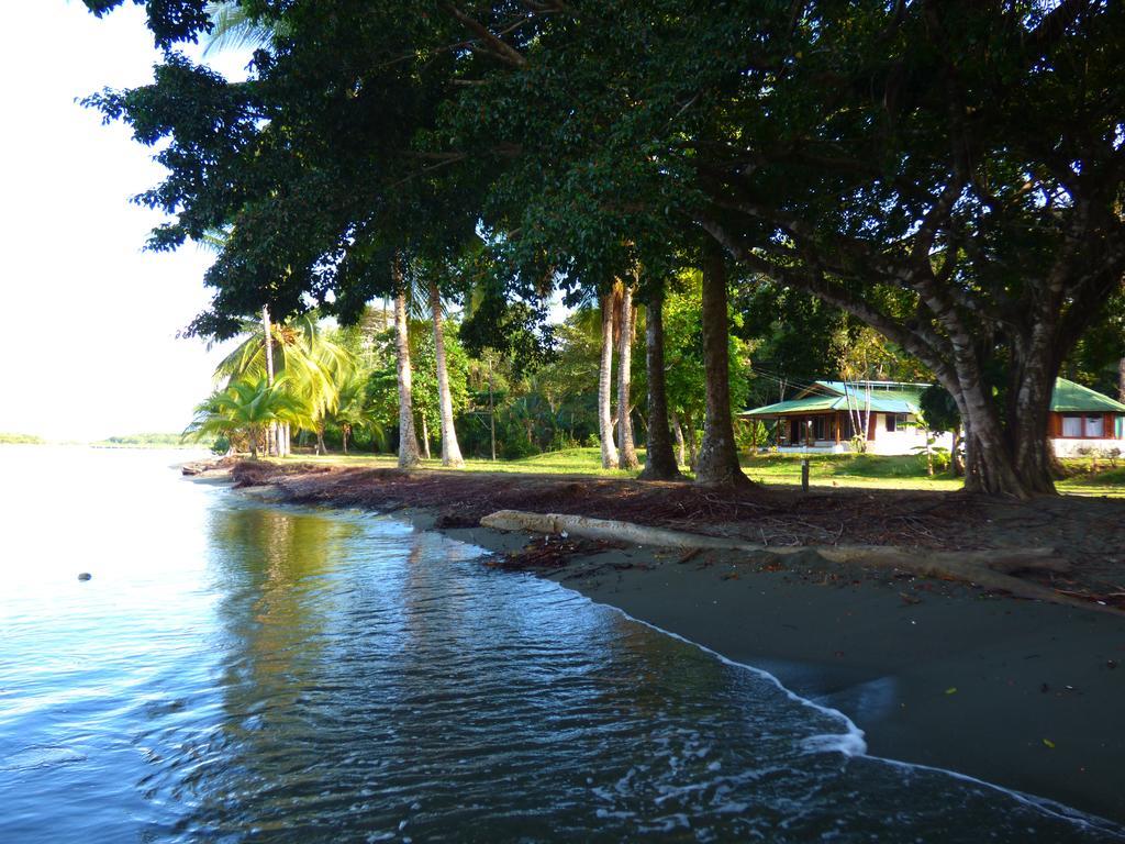 Corcovado Beach Lodge Puerto Jiménez 外观 照片