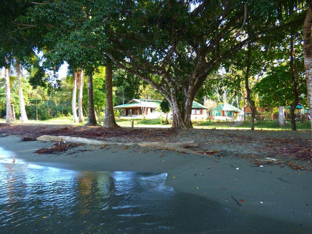 Corcovado Beach Lodge Puerto Jiménez 外观 照片