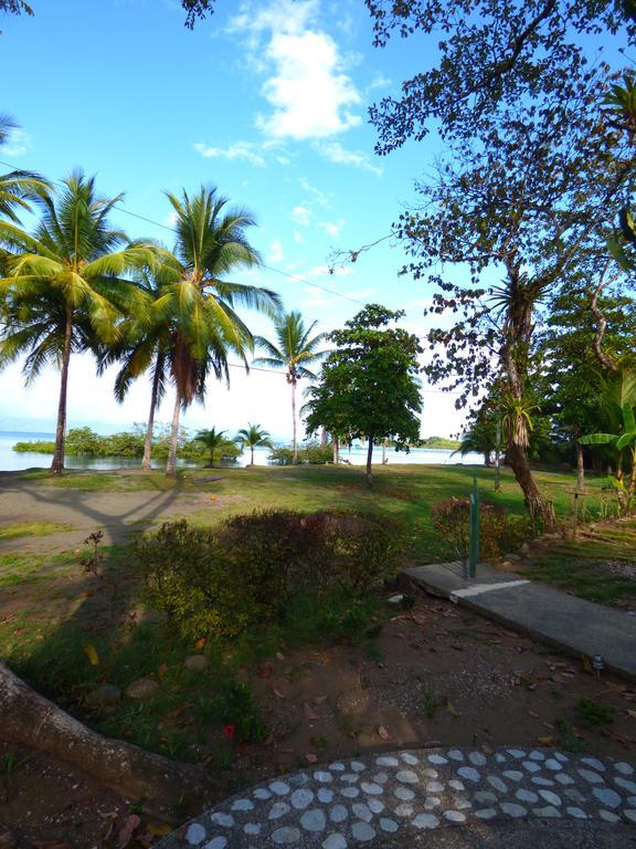 Corcovado Beach Lodge Puerto Jiménez 外观 照片