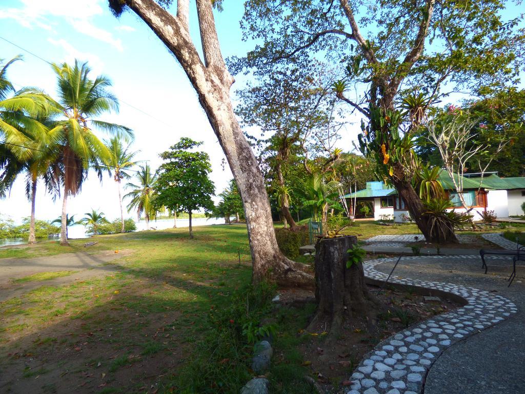 Corcovado Beach Lodge Puerto Jiménez 外观 照片