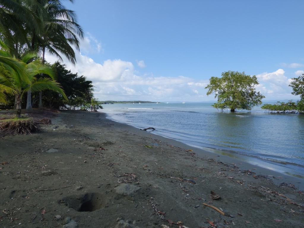 Corcovado Beach Lodge Puerto Jiménez 外观 照片
