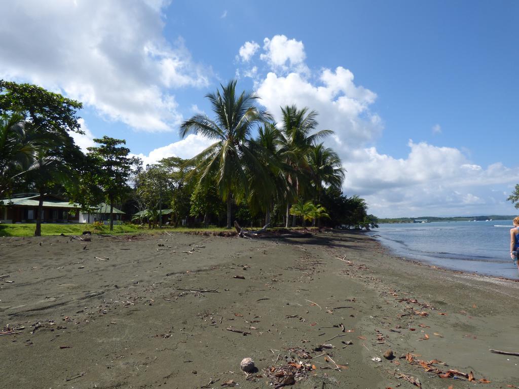 Corcovado Beach Lodge Puerto Jiménez 外观 照片