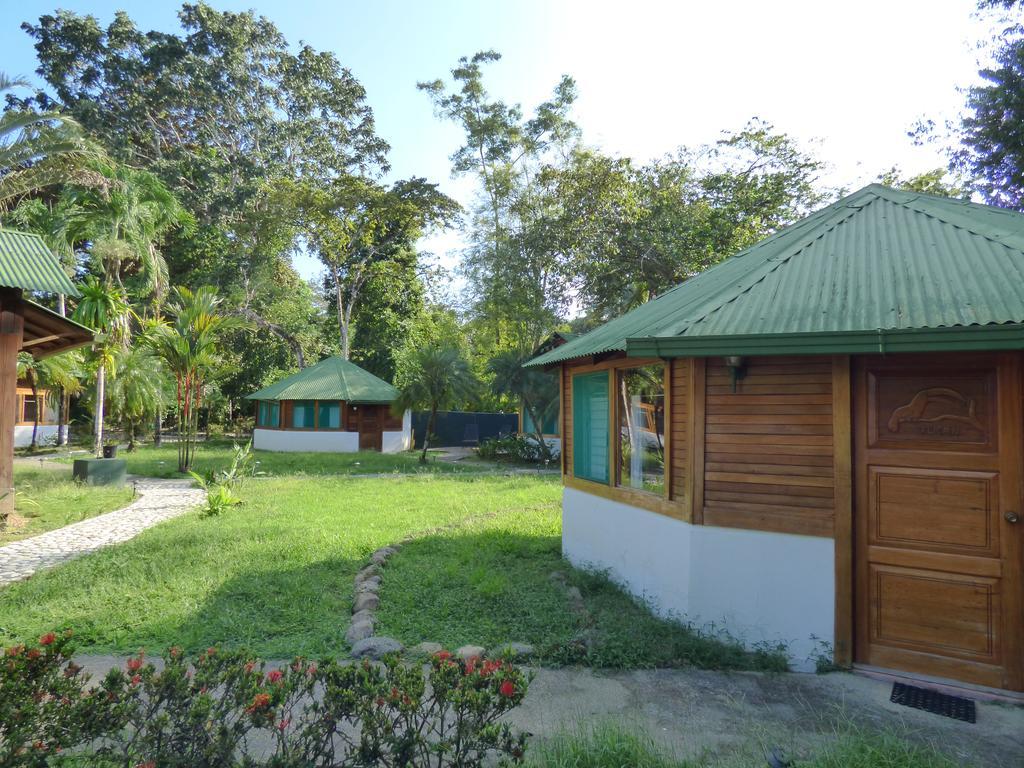 Corcovado Beach Lodge Puerto Jiménez 外观 照片