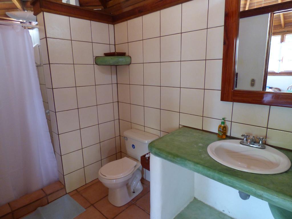 Corcovado Beach Lodge Puerto Jiménez 外观 照片