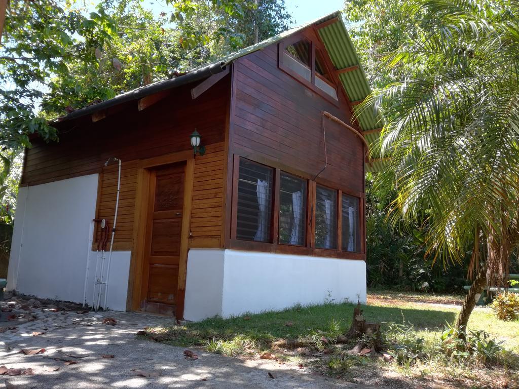 Corcovado Beach Lodge Puerto Jiménez 外观 照片